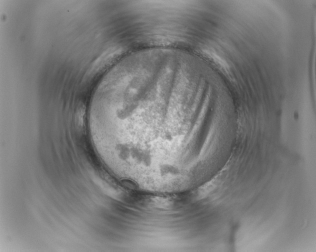 X0000088740166200706141712