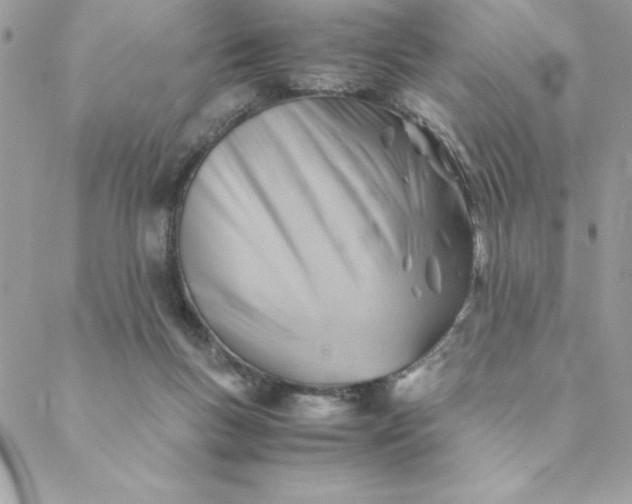 X0000088740167200706141712