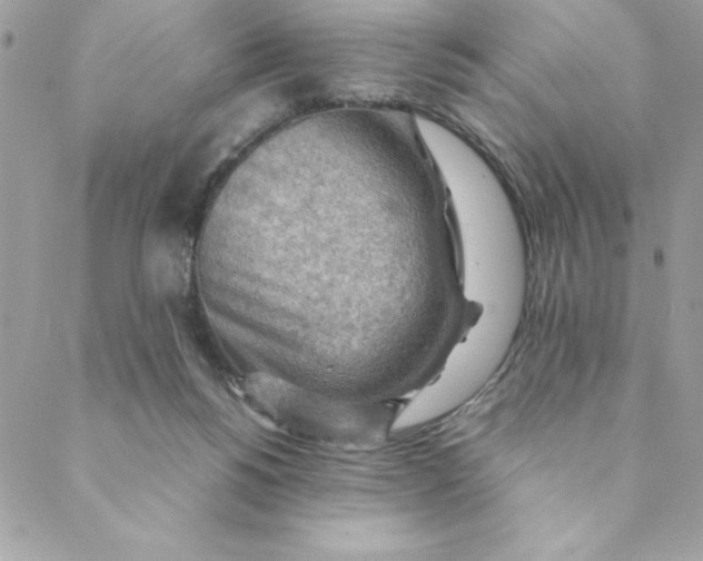 X0000088740168200706141712