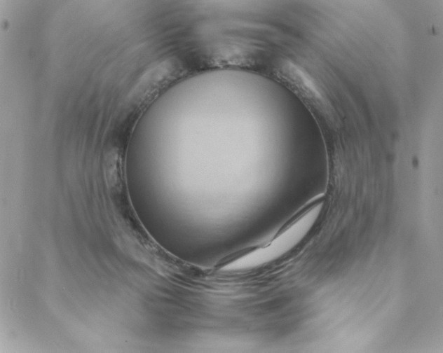 X0000088740169200706141712