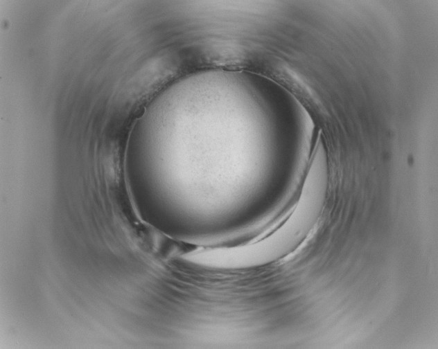 X0000088740170200706141712