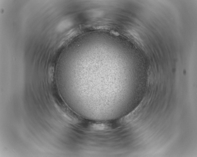 X0000088740171200706141712