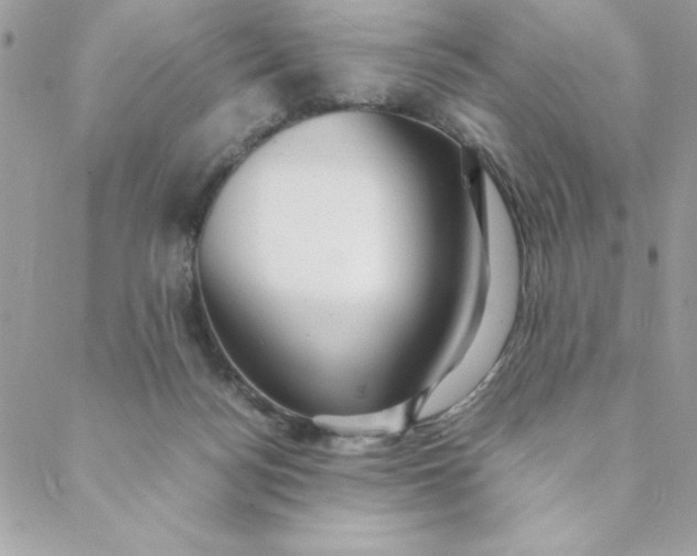 X0000088740172200706141712