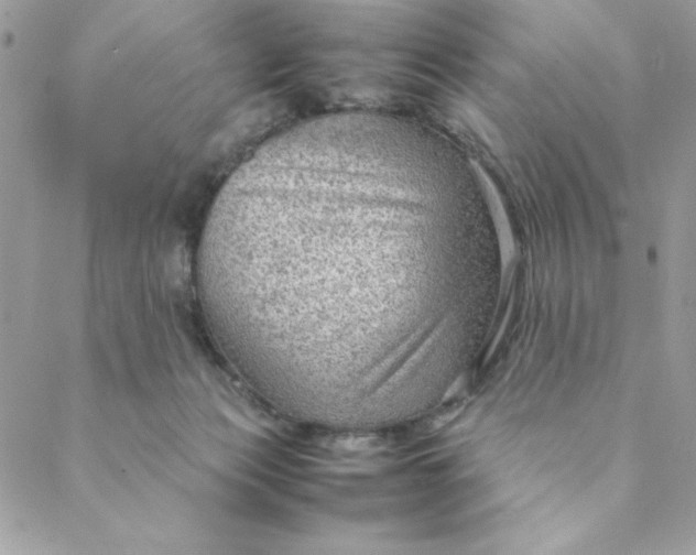 X0000088740173200706141712