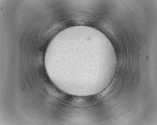 X0000088740174200706141712