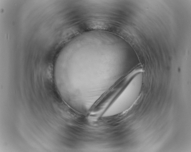 X0000088740175200706141712