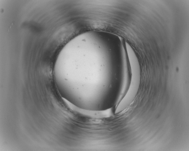 X0000088740176200706141712