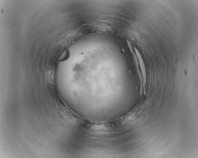 X0000088740177200706141712