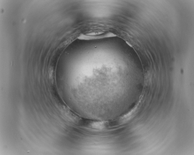 X0000088740178200706141712