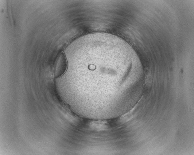 X0000088740179200706141712