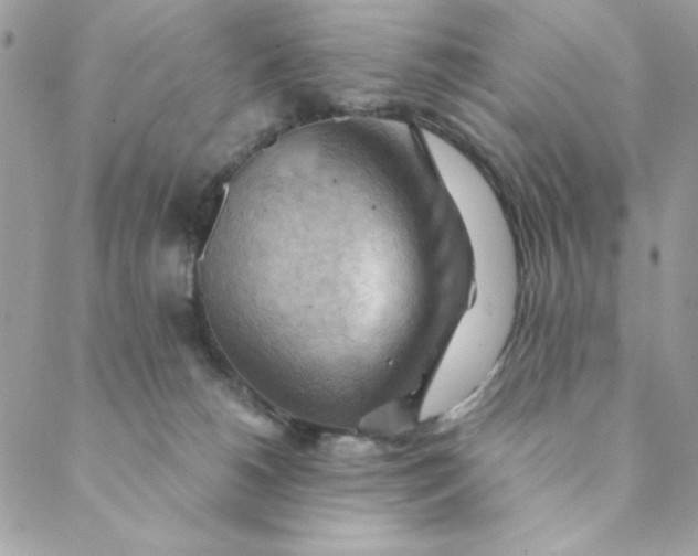 X0000088740180200706141712