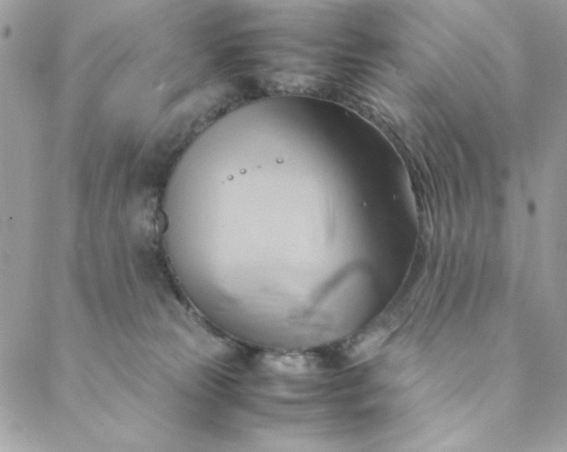 X0000088740181200706141712