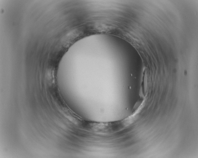 X0000088740182200706141712