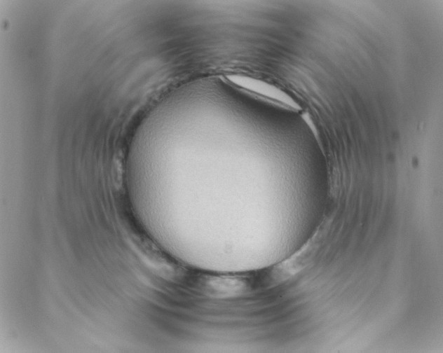 X0000088740183200706141712