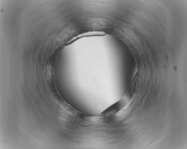 X0000088740184200706141712