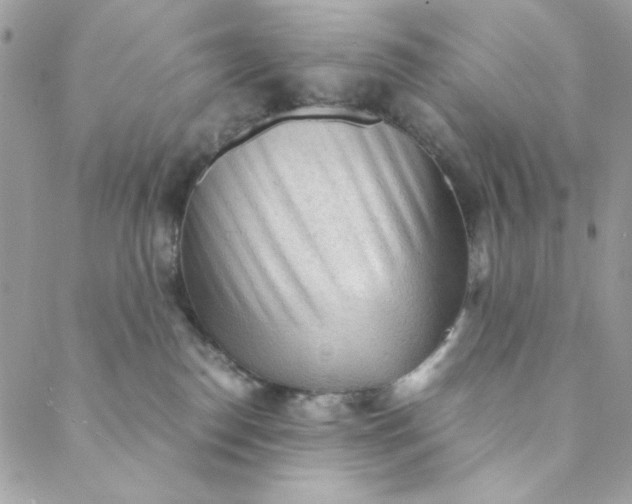 X0000088740186200706141712