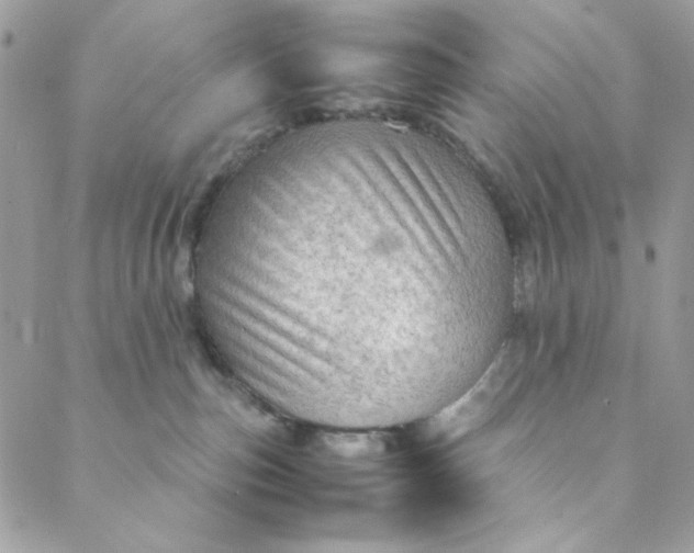 X0000088740187200706141712