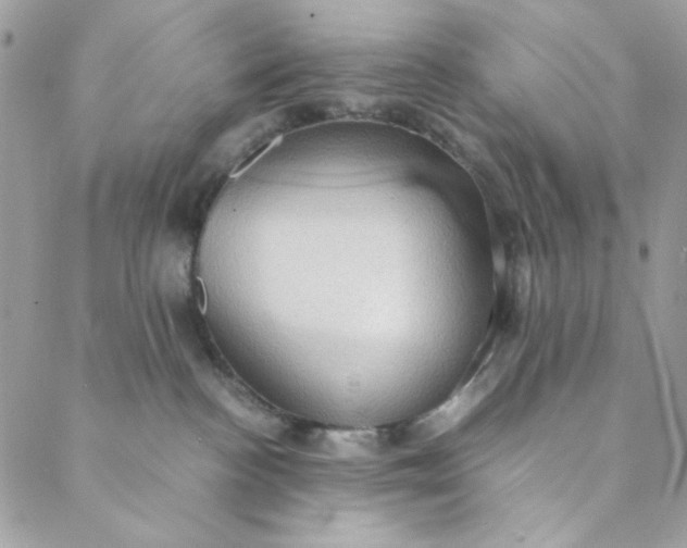 X0000088740188200706141712