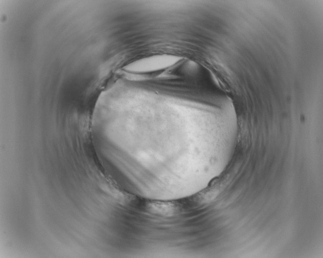 X0000088740189200706141712