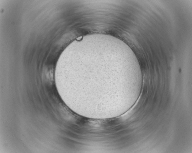 X0000088740190200706141712