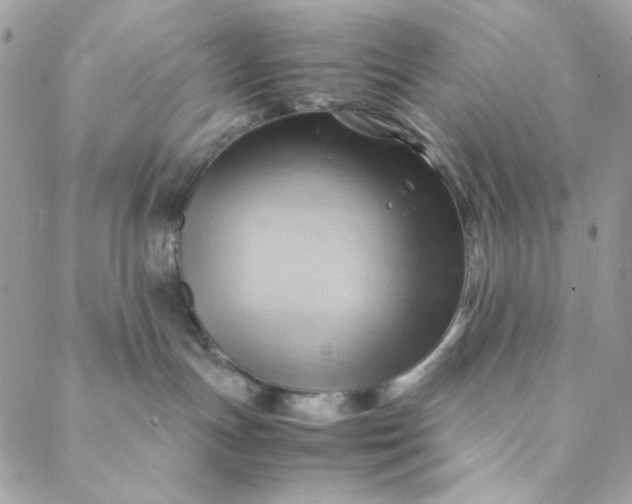 X0000088740191200706141712