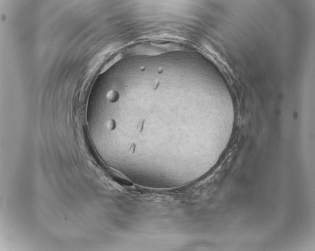 X0000088740193200706141712