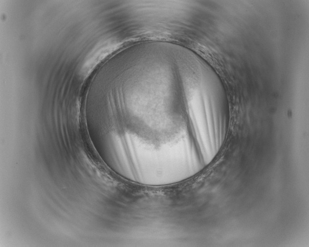 X0000088740194200706141711