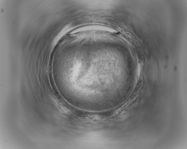 X0000088740195200706141711