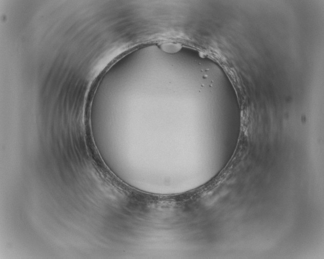 X0000088740196200706141711