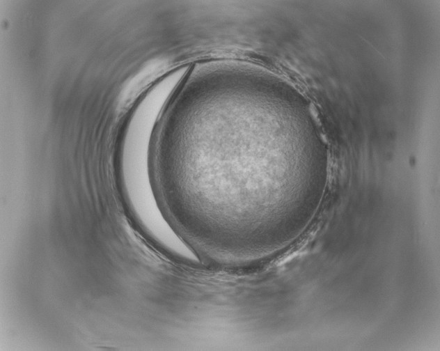 X0000088740197200706141711