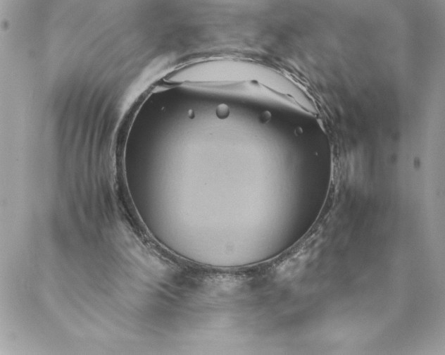 X0000088740198200706141711