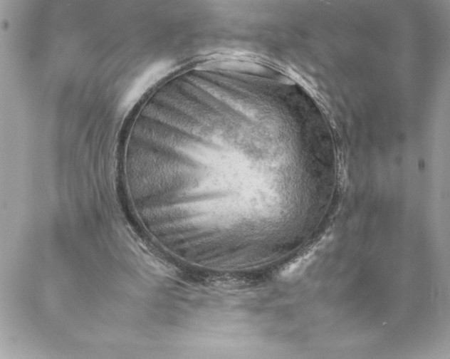 X0000088740199200706141711