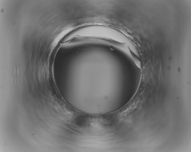 X0000088740200200706141711