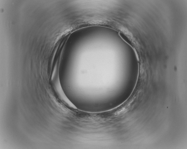 X0000088740201200706141711