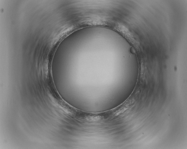 X0000088740202200706141711