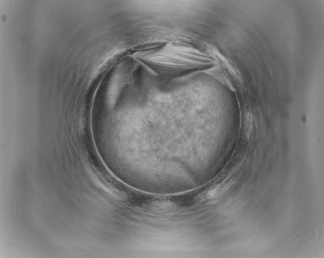 X0000088740203200706141711