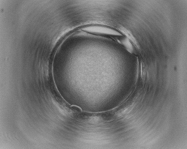 X0000088740204200706141711