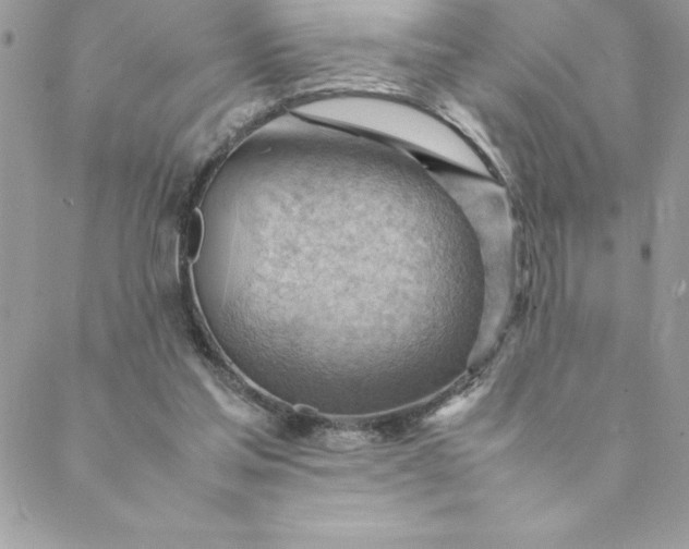 X0000088740205200706141711