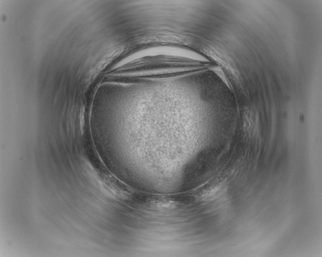 X0000088740206200706141711