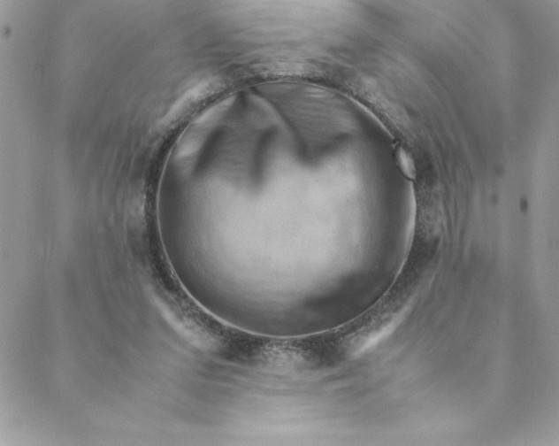 X0000088740207200706141711