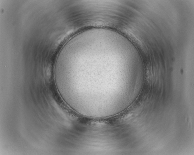 X0000088740208200706141711