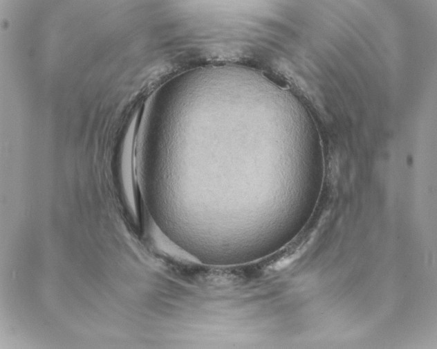 X0000088740209200706141711