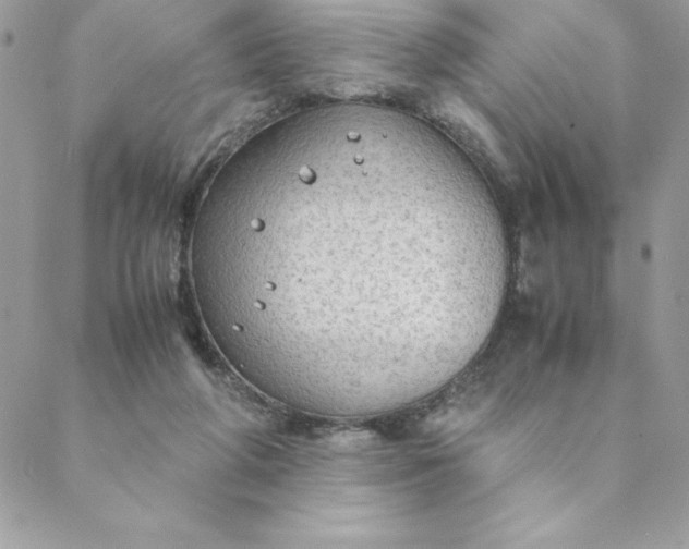 X0000088740210200706141711