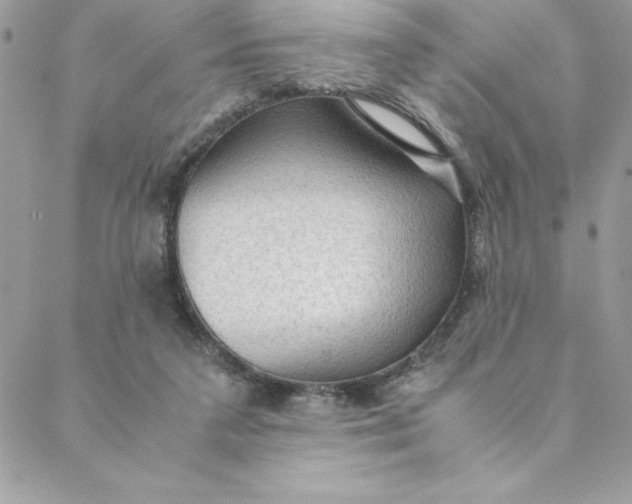 X0000088740211200706141711