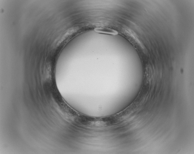 X0000088740212200706141711