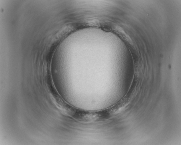 X0000088740213200706141711