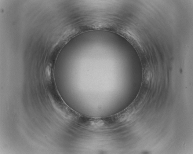 X0000088740214200706141711