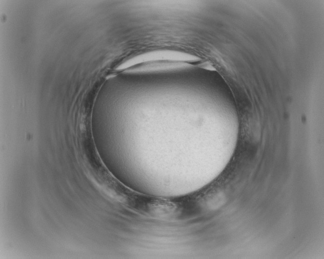 X0000088740215200706141711