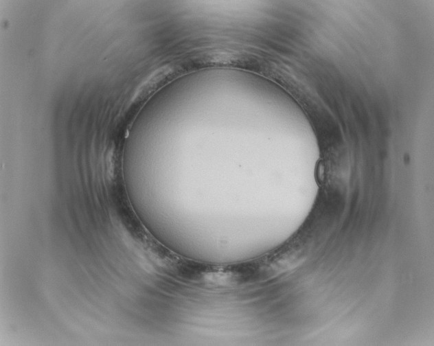 X0000088740216200706141711