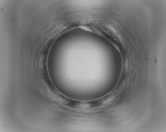 X0000088740217200706141711